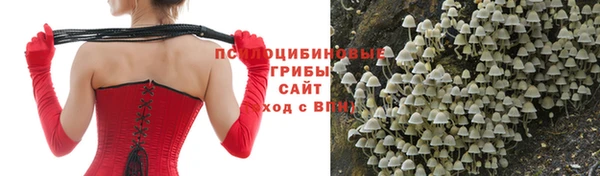 стафф Абаза
