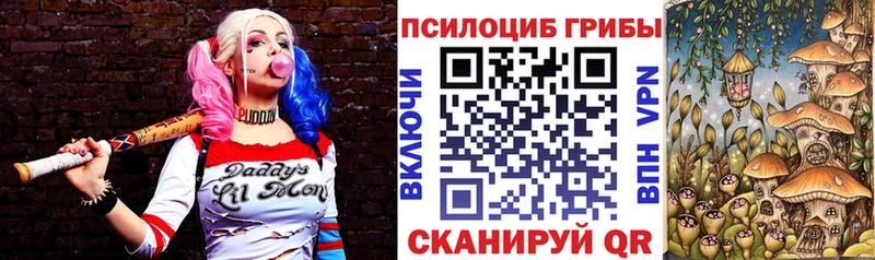 Псилоцибиновые грибы мицелий  Новое Девяткино 
